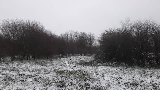 Park Griene Greide - Image 1