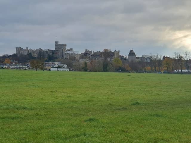 The Brocas - Image 1
