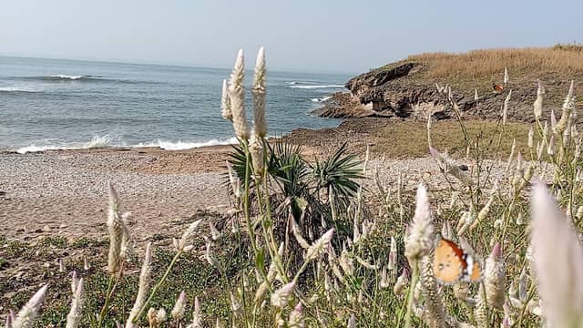 Stone Beach - Image 1