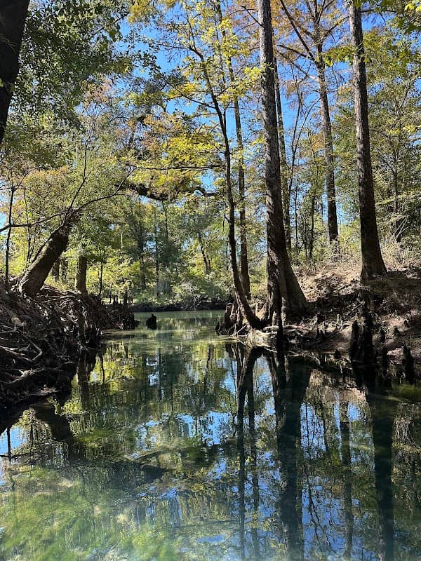 Hinson Conservation & Recreation Area - Image 1