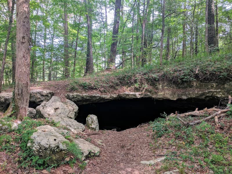 Hinson Conservation & Recreation Area - Image 2