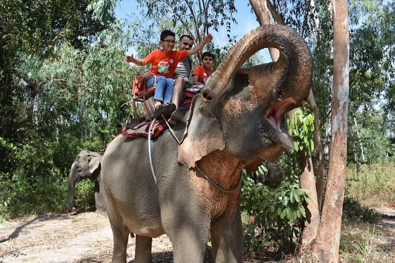 Chang Thai Thappraya Safari - Image 1