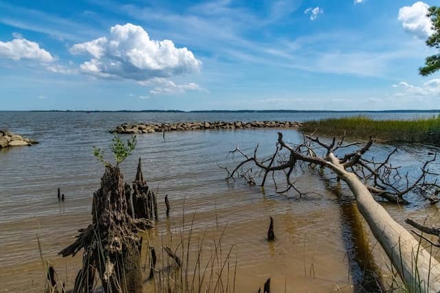 Jamestown Island - Image 1