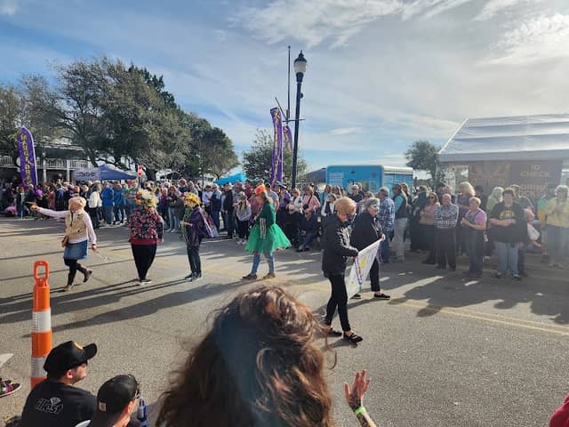 Beaufort Mardi Gras Central - Image 3