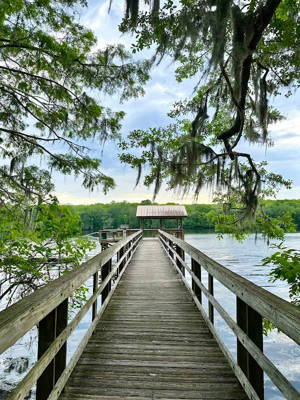 Manatee Springs State Park - Image 2