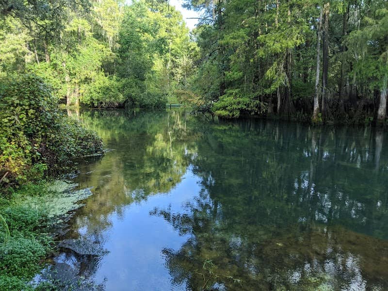 Manatee Springs State Park - Image 1