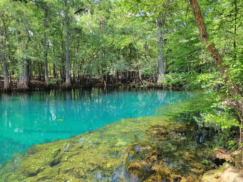 Manatee Springs State Park - Image 3