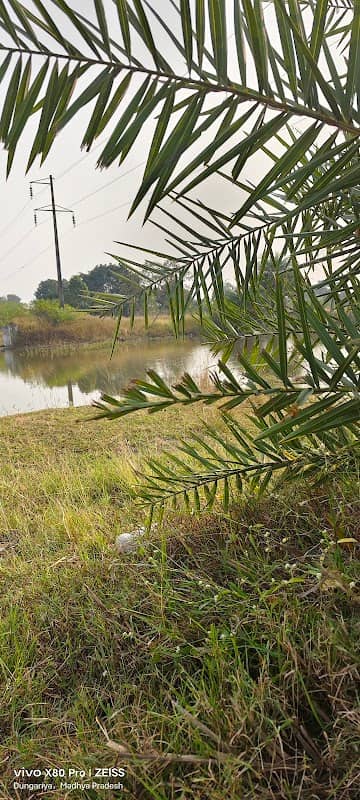 New Dam (नया तालाब) - Image 3