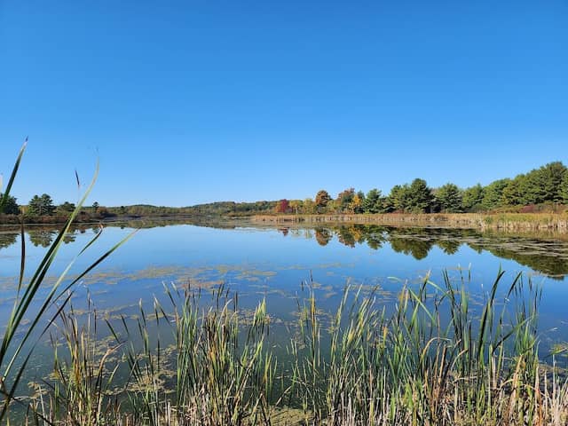 Little Cataraqui Creek Conservation Area - Image 1