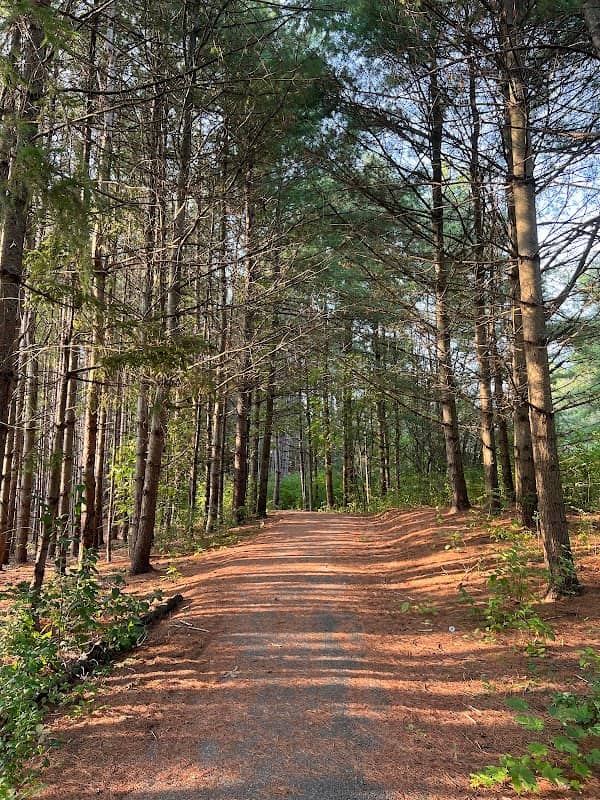Little Cataraqui Creek Conservation Area - Image 2