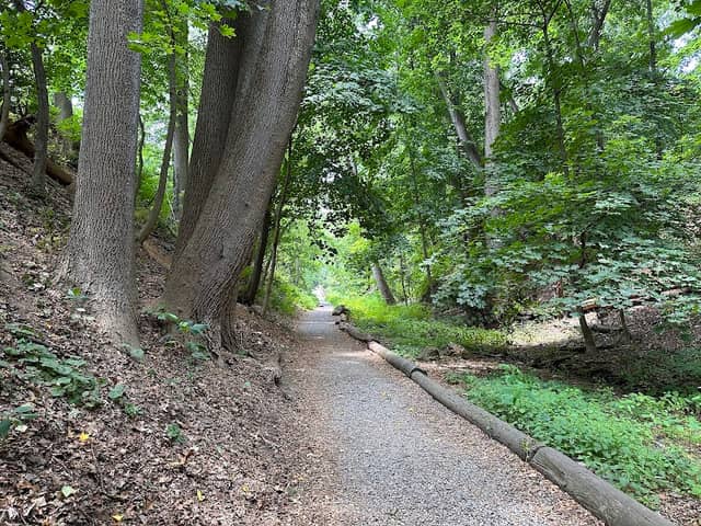 Mount Airy B&O Old Main Line Rails to Trails - Image 3