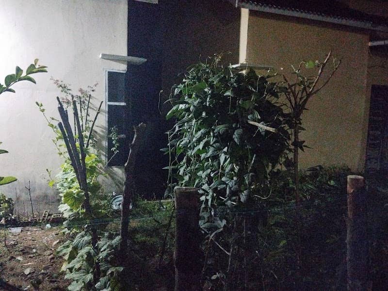 Kebun Bang Zul - Image 2