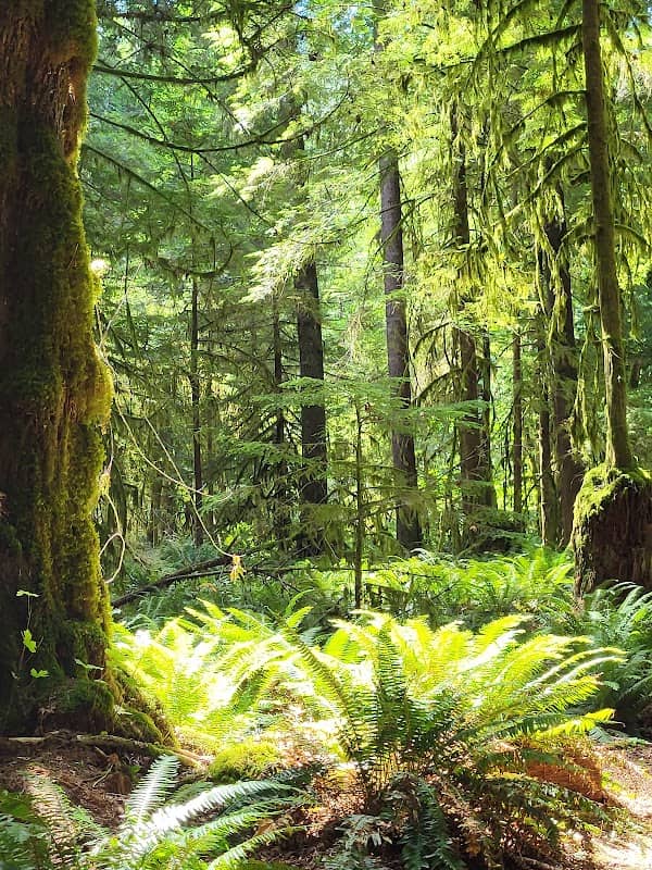 Marble Bay Park - Image 2