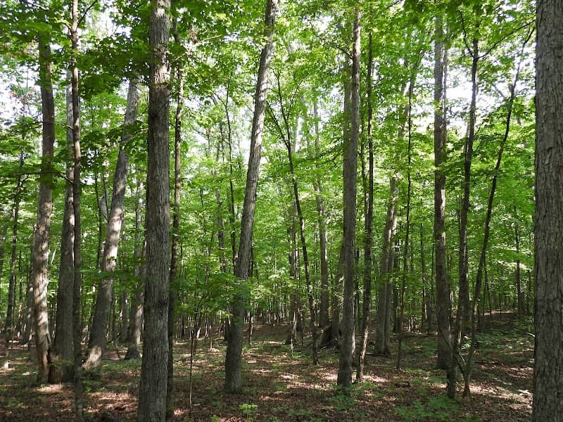 POST OAK TRAIL - Image 1
