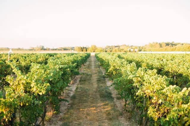 Tomasello Winery - Image 1