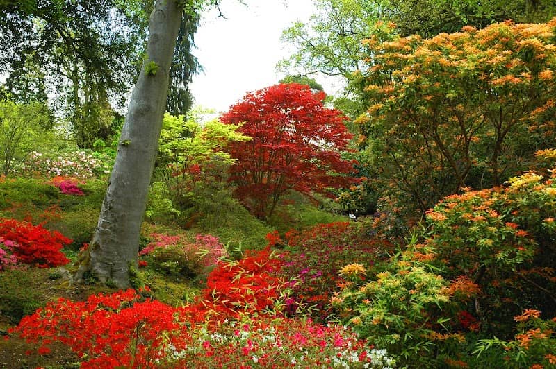 Exbury Gardens & Steam Railway - Image 2