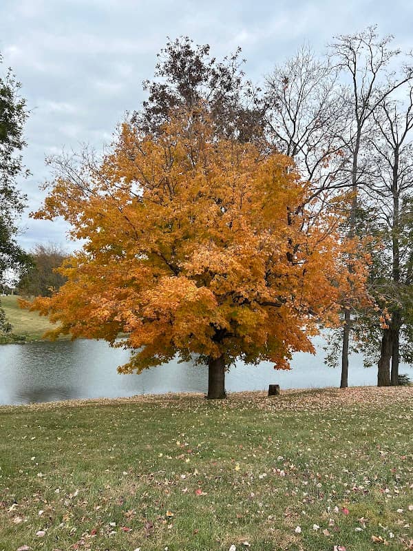 Lake Reba Shelter C - Image 1