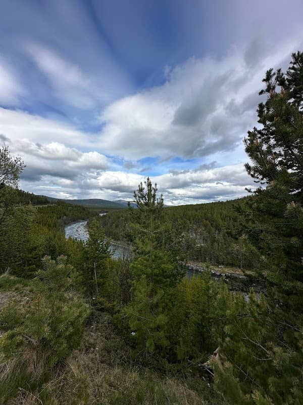 Viewpoint - Image 2