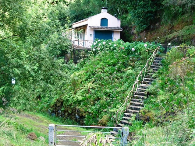 Levada dos Tornos - Image 1