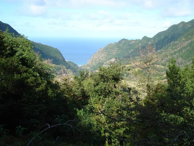 Levada dos Tornos - Image 2