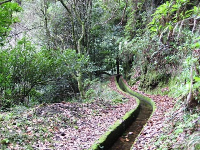 Levada dos Tornos - Image 3