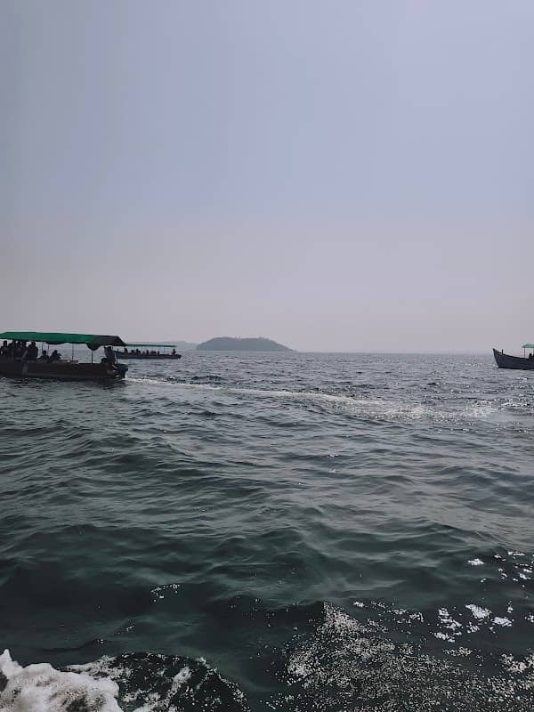 DOLPHIN TRIP - Image 1