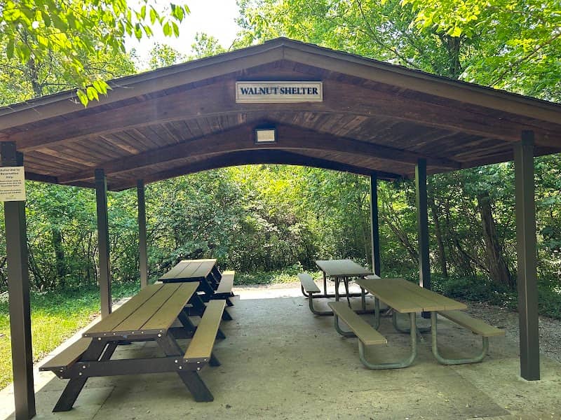 Blue Ash Nature Park - Image 3