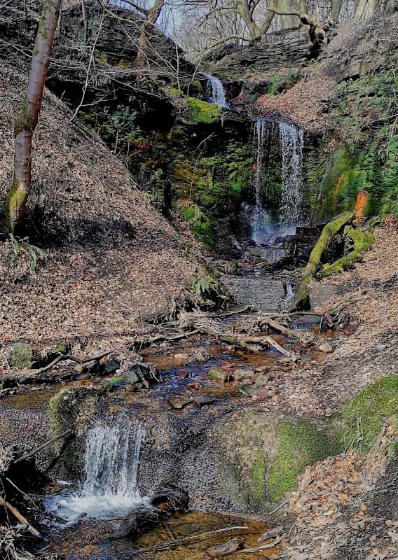 Redisher Woods - Image 1