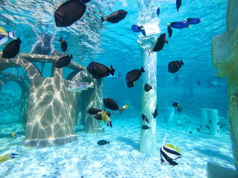 Sealanya Dolphinpark Seapark - Image 1