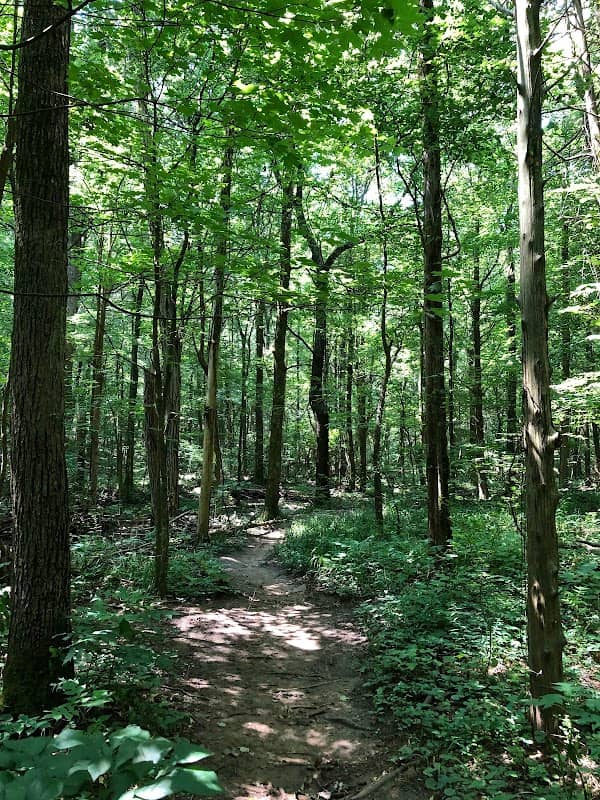 Keel Mountain Preserve - Image 1
