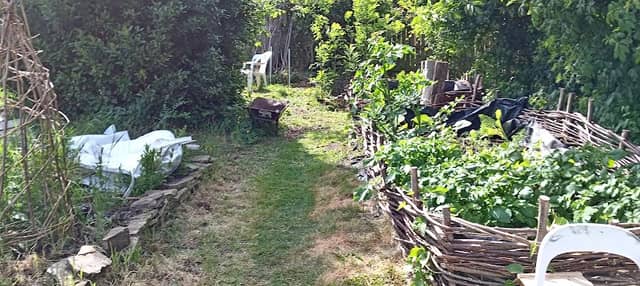 The Forest Garden - Image 1