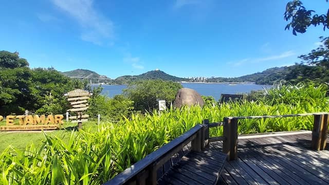 Mirante Projeto Tamar - Image 1