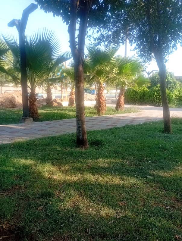 پارک احسان - Image 2