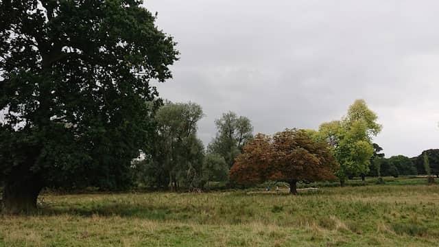 Normanby Hall - Image 2