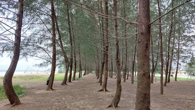 Pantai Seberang Takir - Image 1