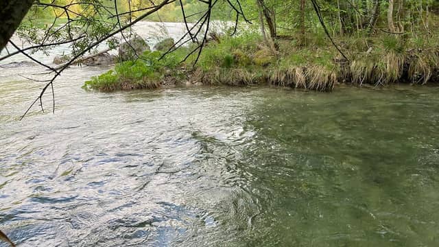 Zusammenfluss, Alm + Straneggbach - Image 3