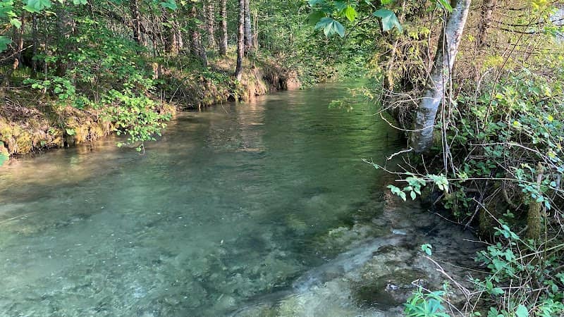 Zusammenfluss, Alm + Straneggbach - Image 2