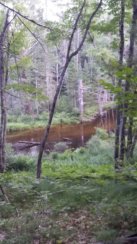 Walker Pond Conservation Land - Image 2