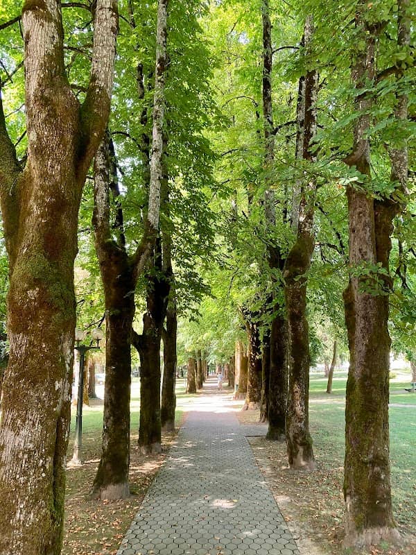 Zdraviliški park - Image 1