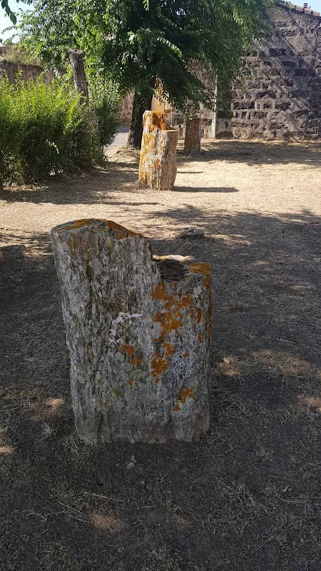 Giardino degli alberi di Pietra - Image 1