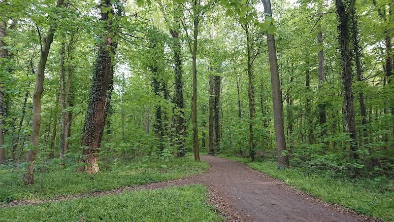 Stadtforst Eilenriede-Nord - Image 2
