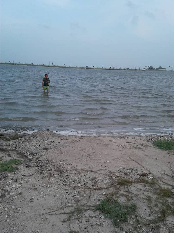Little Bay - Image 2