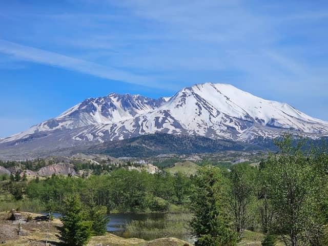 Hummocks Trail #229 - Image 2