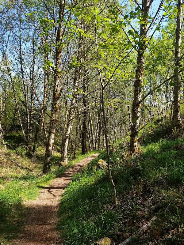 Hummocks Trail #229 - Image 3