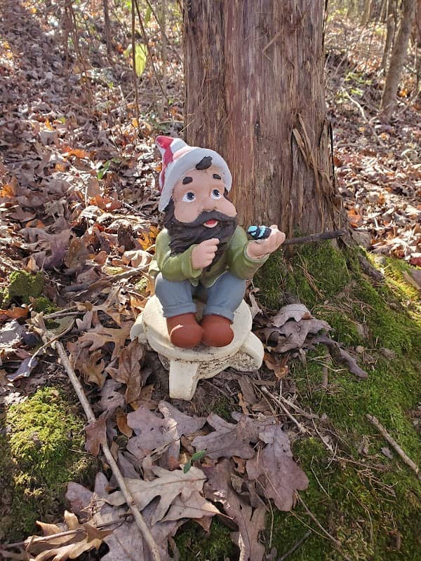 Pineywoods Nature Trail - Image 1