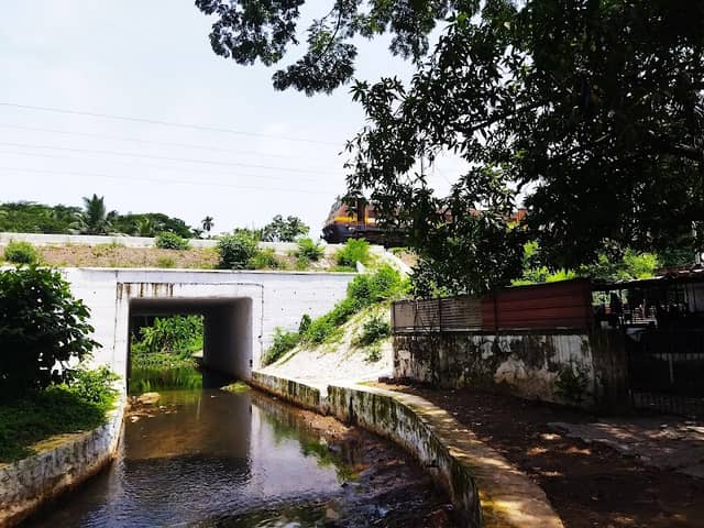Thalap irattakkannan palam - Image 1