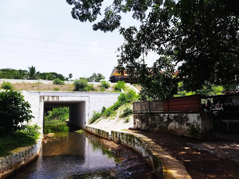Thalap irattakkannan palam - Image 1