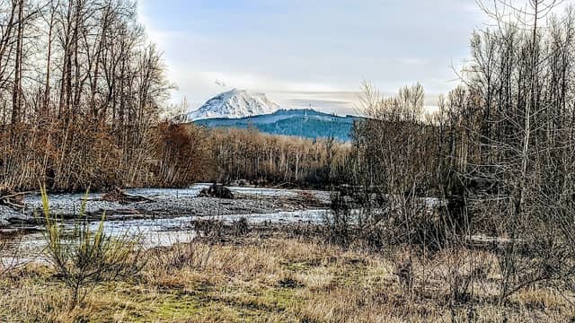 Puyallup River bed - Image 2