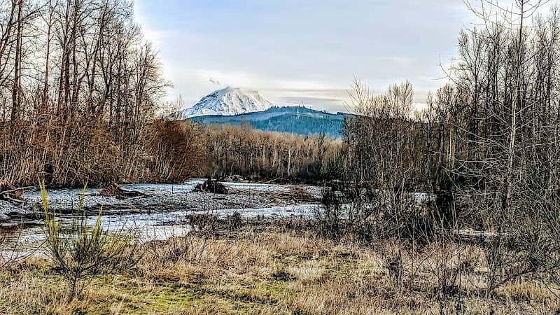 Puyallup River bed - Image 2