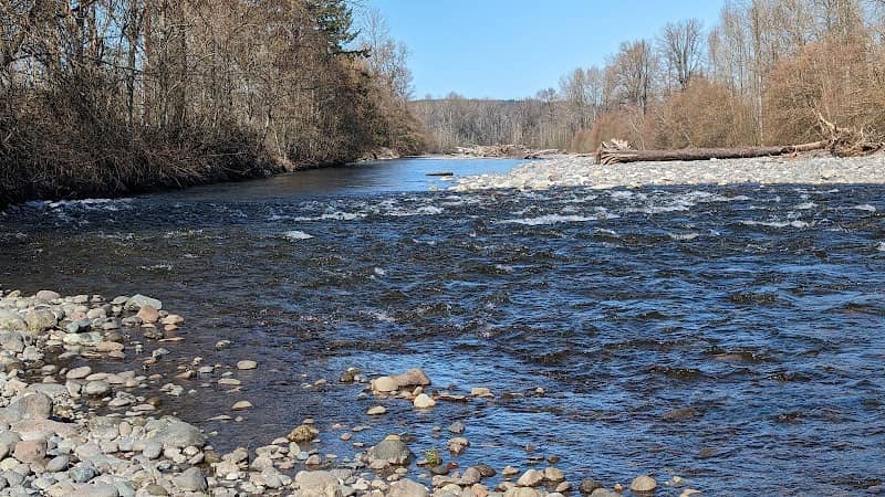 Puyallup River bed - Image 1